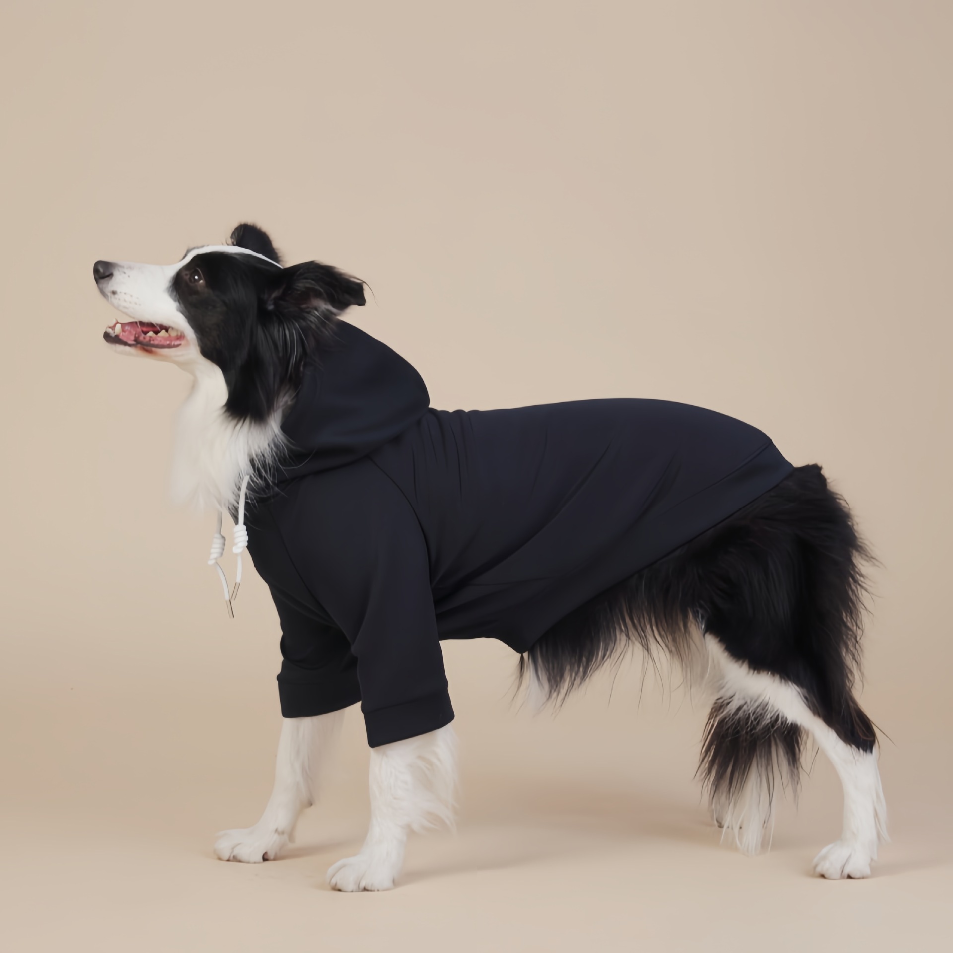 Black Classic Dog Sweatshirt with Hood & Drawstrings - For Large Dogs (Size: 6XL) — image 2