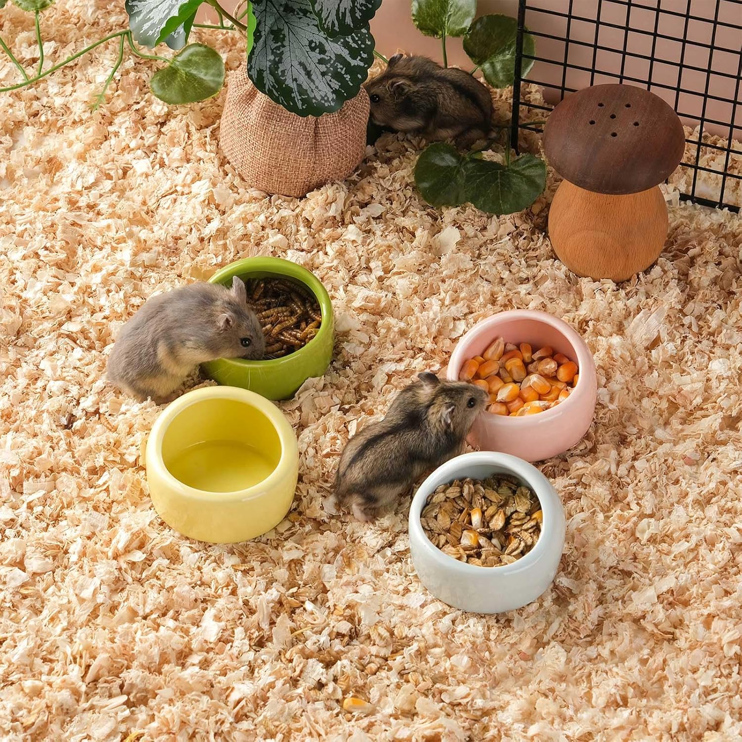 4 Pack Small Hamster Food Bowl Ceramic Guinea Pig Food Dish No Spill Hamster Food and Water Bowl Small Animal Food Bowl for Chinchilla Hedgehog Hamster Gerbil โ image 3