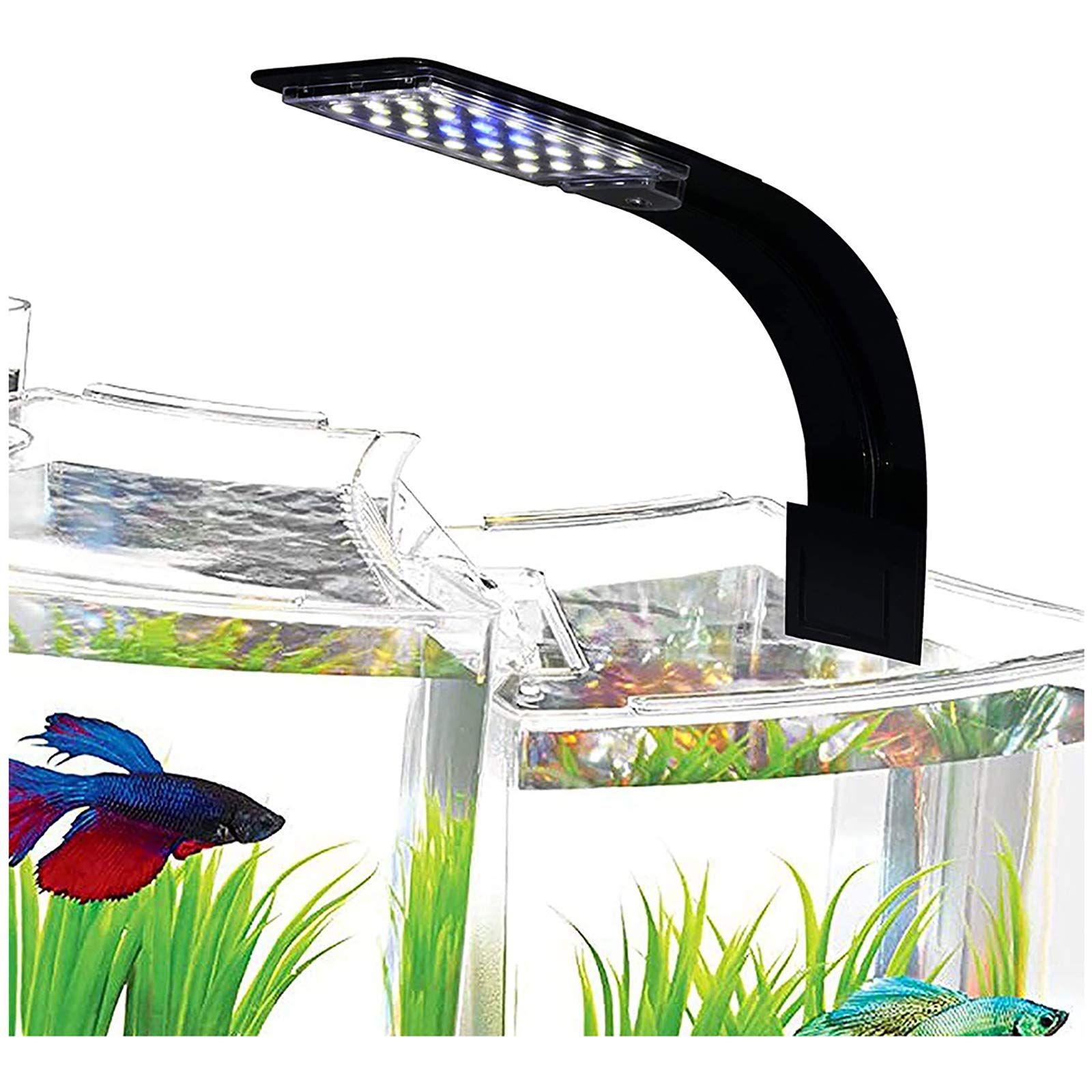 Aquarium Clip-on led Light, Fish Tank Light with White and Blue LEDs, Small LED Aquarium Light for Freshwater Tank — image 4