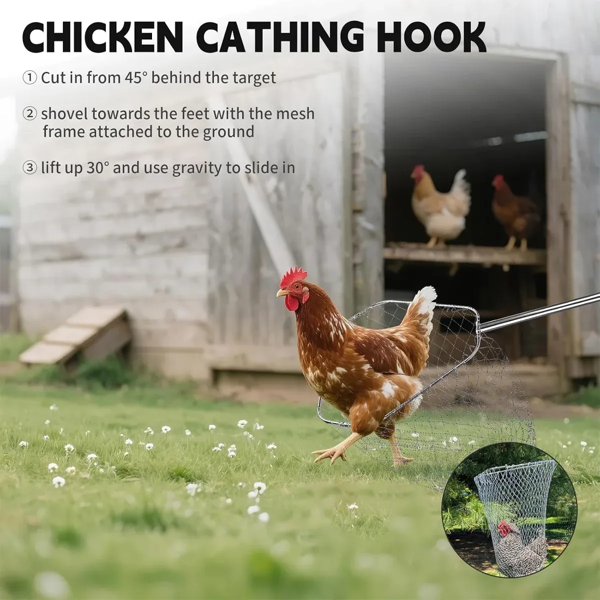 Poultry Catch Net Bag Hook Set Stainless Steel Thickened for Farm — image 5
