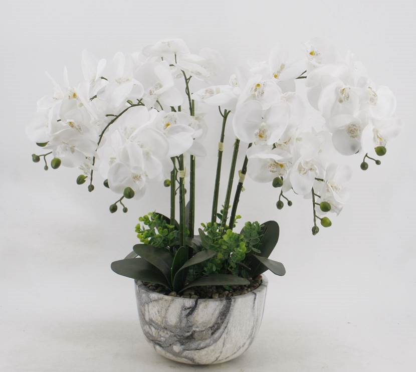 Large White Orchid In Marble Look Pot 64cm โ image 2