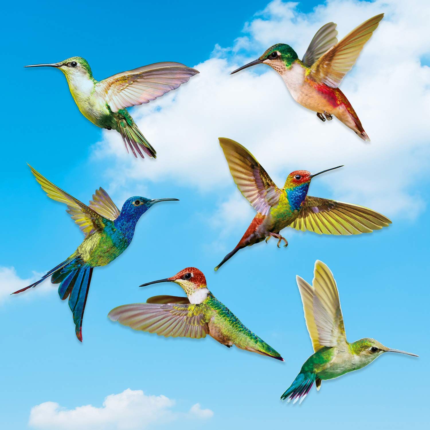 Hummingbird Window Clings Anti-Collision Window Clings Decals to Prevent Bird Strikes on Window Glass Hummingbird Stickers โ image 2