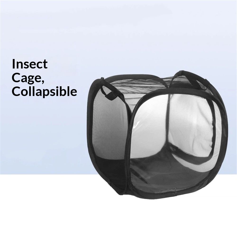 Butterfly Net Enclosure Butterfly Habitat Cage Caterpillar Habitat Butterfly Enclosure Mesh,Cage for Caterpillars Live Butterfly Outdoor Mesh Plant Enclosure — image 4