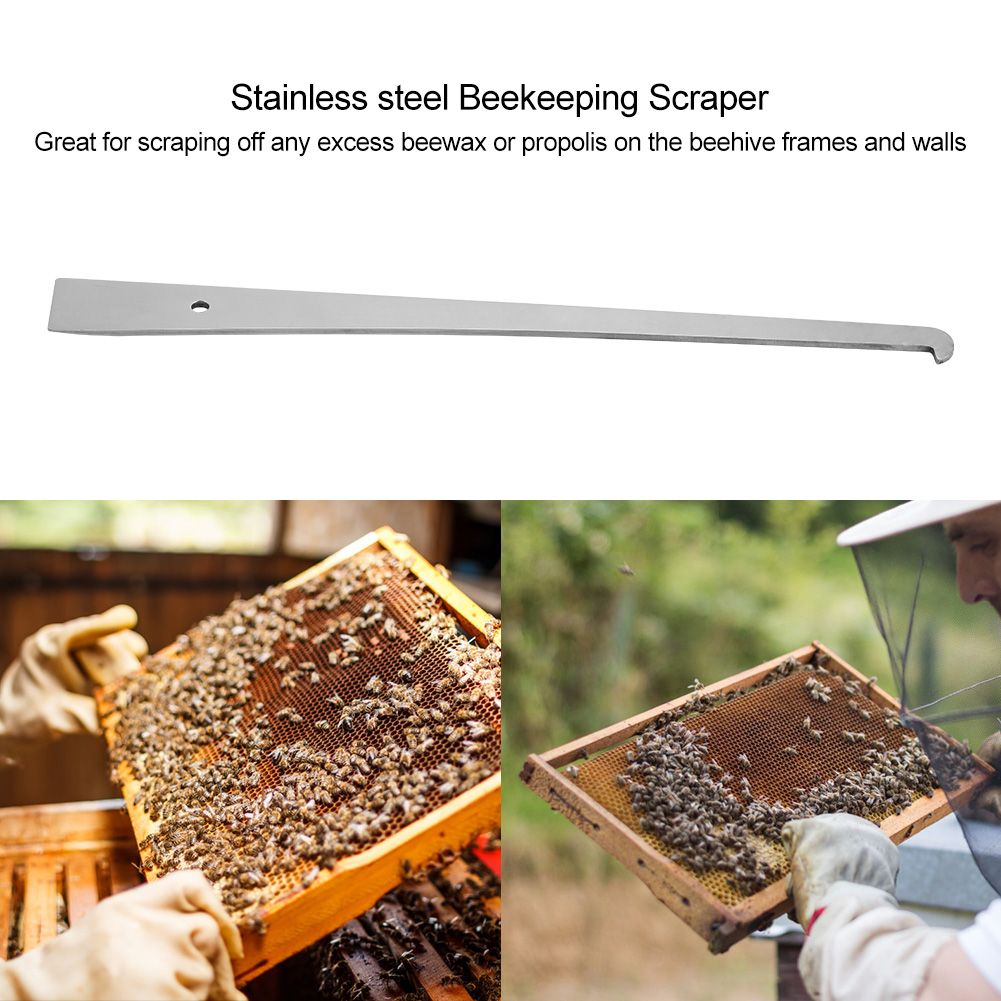 1Pc Stainless Steel Bee Hive Scraper Frame Cleaning Tool Beekeeping Tool Equipment — image 2