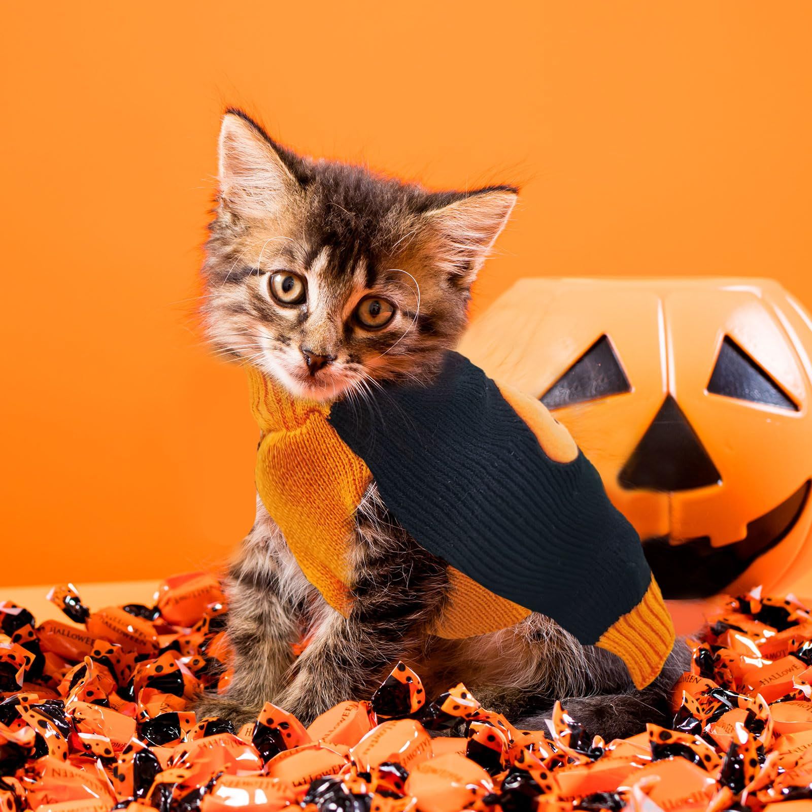 Dog Sweater Pumpkin Pet Sweaters Halloween Holiday Party for Cat and Puppy Small and medium-sized dog Teddy clothing(M) — image 5