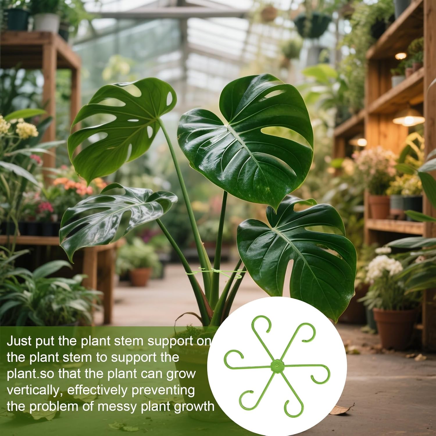 16 Pack Indoor Plant Stakes 4 Sizes 4 of Each Size Green Plant Supports for Tall Plants Monstera Plant Anchors Plant Fixing Hooks Suitable for Indoor Gardens — image 6