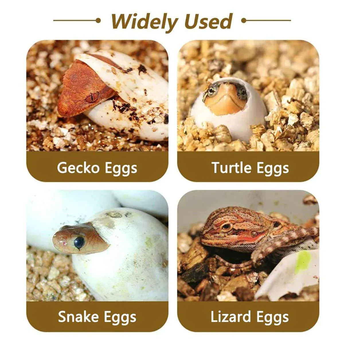 Reptile Pet Egg Incubator for Hatching High Quality Home Use Reptile Care โ image 4
