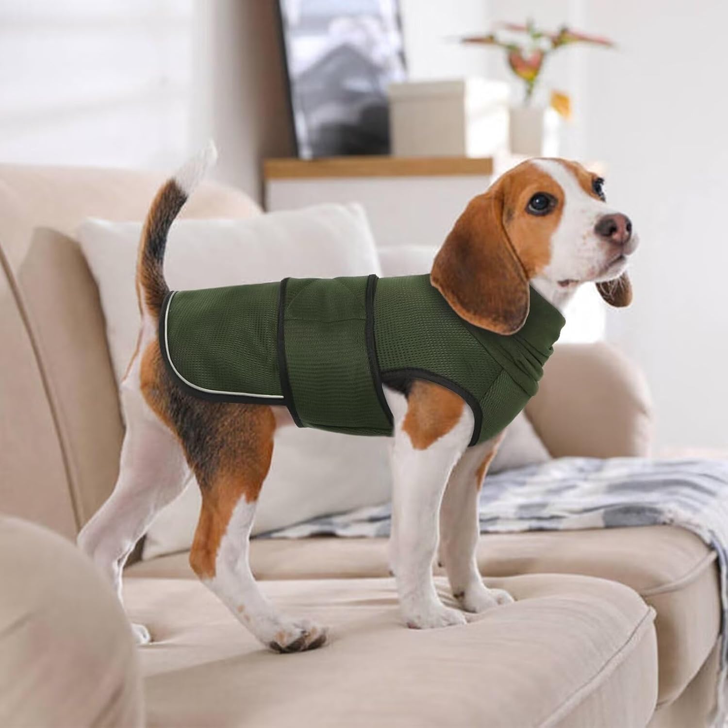 Winter Dog Coat - Soft Adjustable Bodywarmer - Warm - Size M - Military Green — image 5