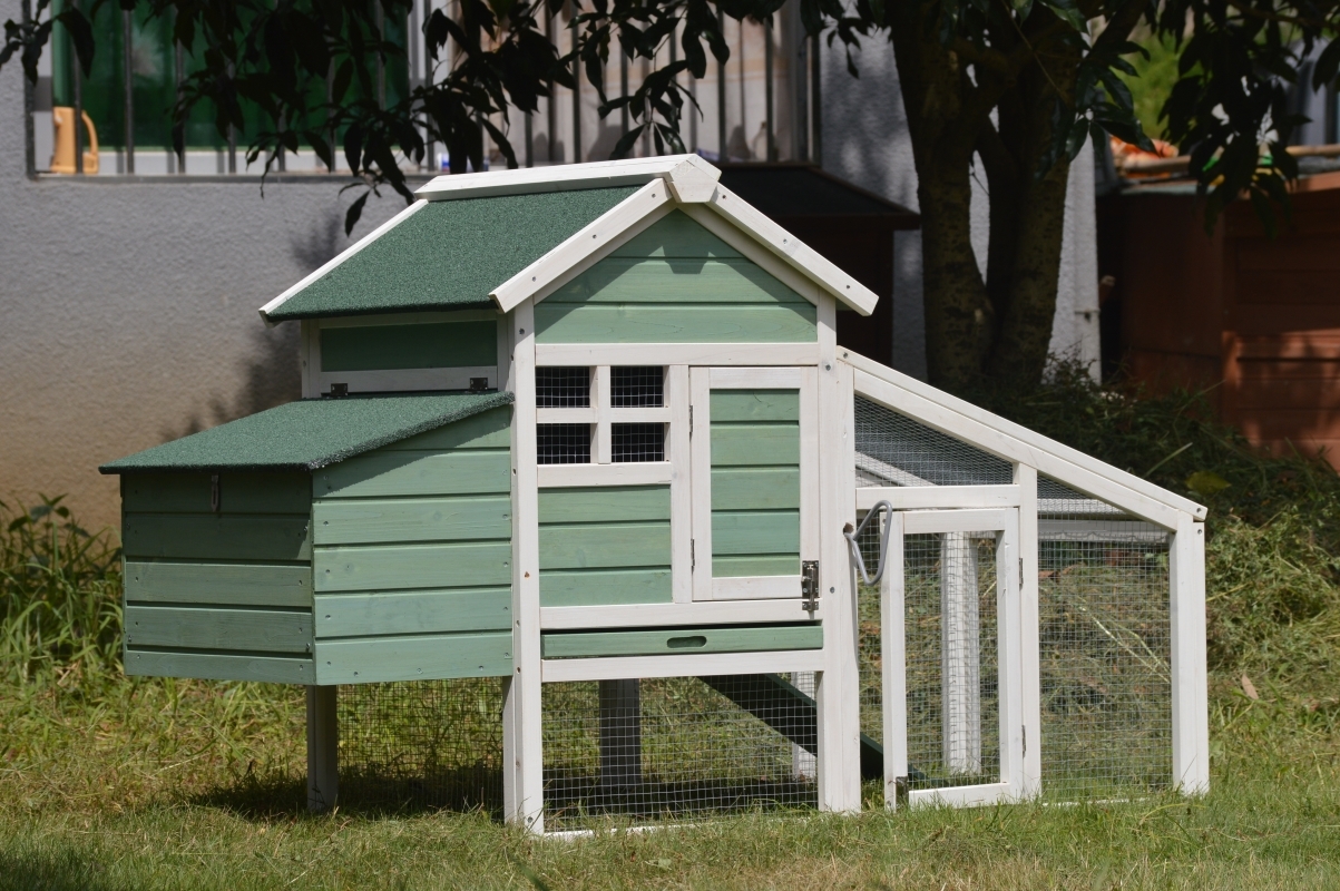 YES4PETS Green Small Chicken coop with nesting box for 2 Chickens / Rabbit Hutch โ image 2