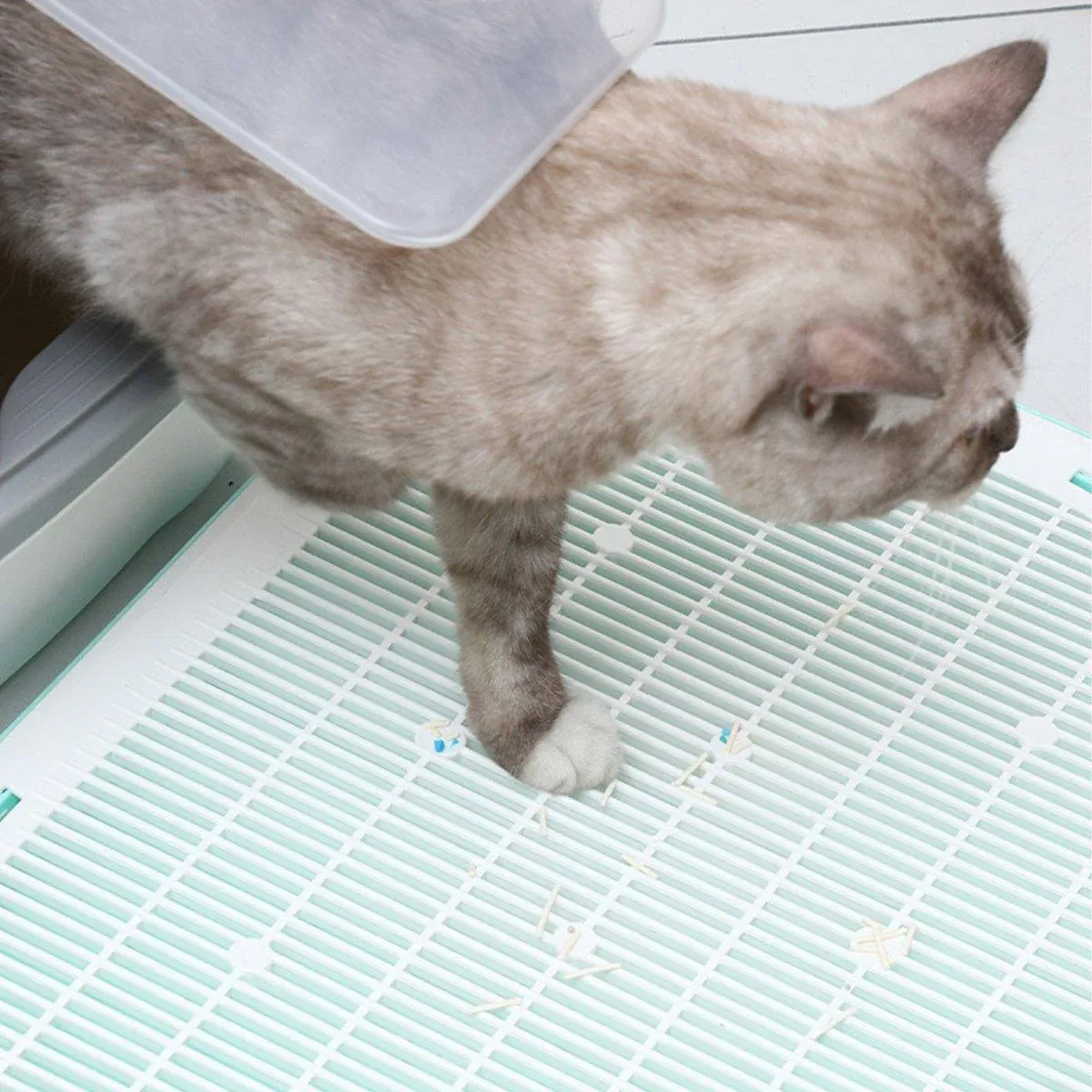 Anti Spill Cat Litter Mat Double Layer Pet Toilet Mat for Litter Box - Blue โ image 5