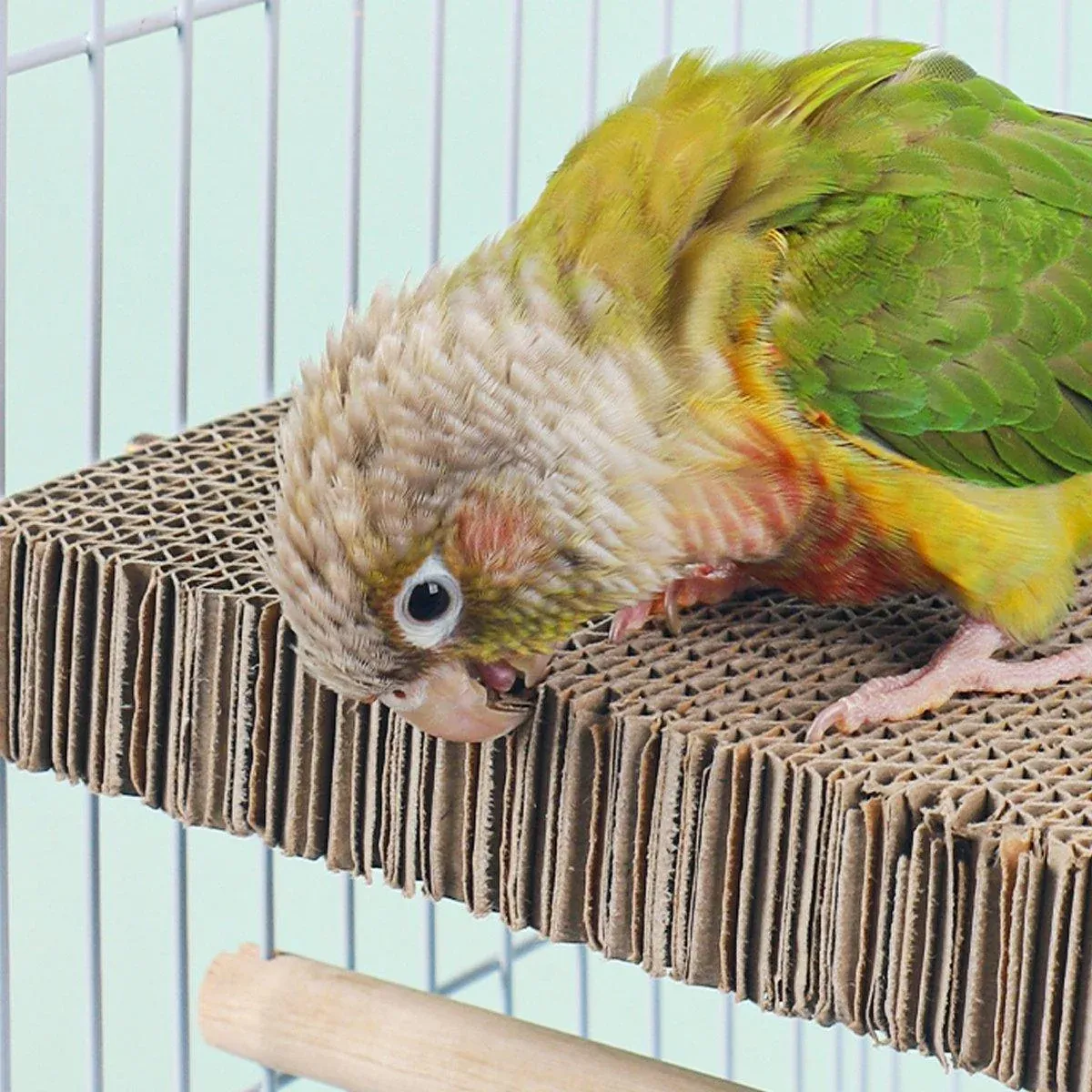 Parrot Toy Bird Cage Accessories Anti-bite Hair Grinding Pad Relieve Boredom — image 6