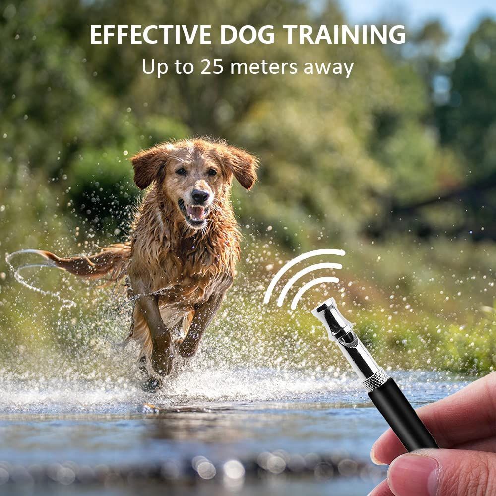 Adjustable ultrasonic silent dog whistle with lanyard, professional dog recall training whistle controls neighboring dogs — image 4