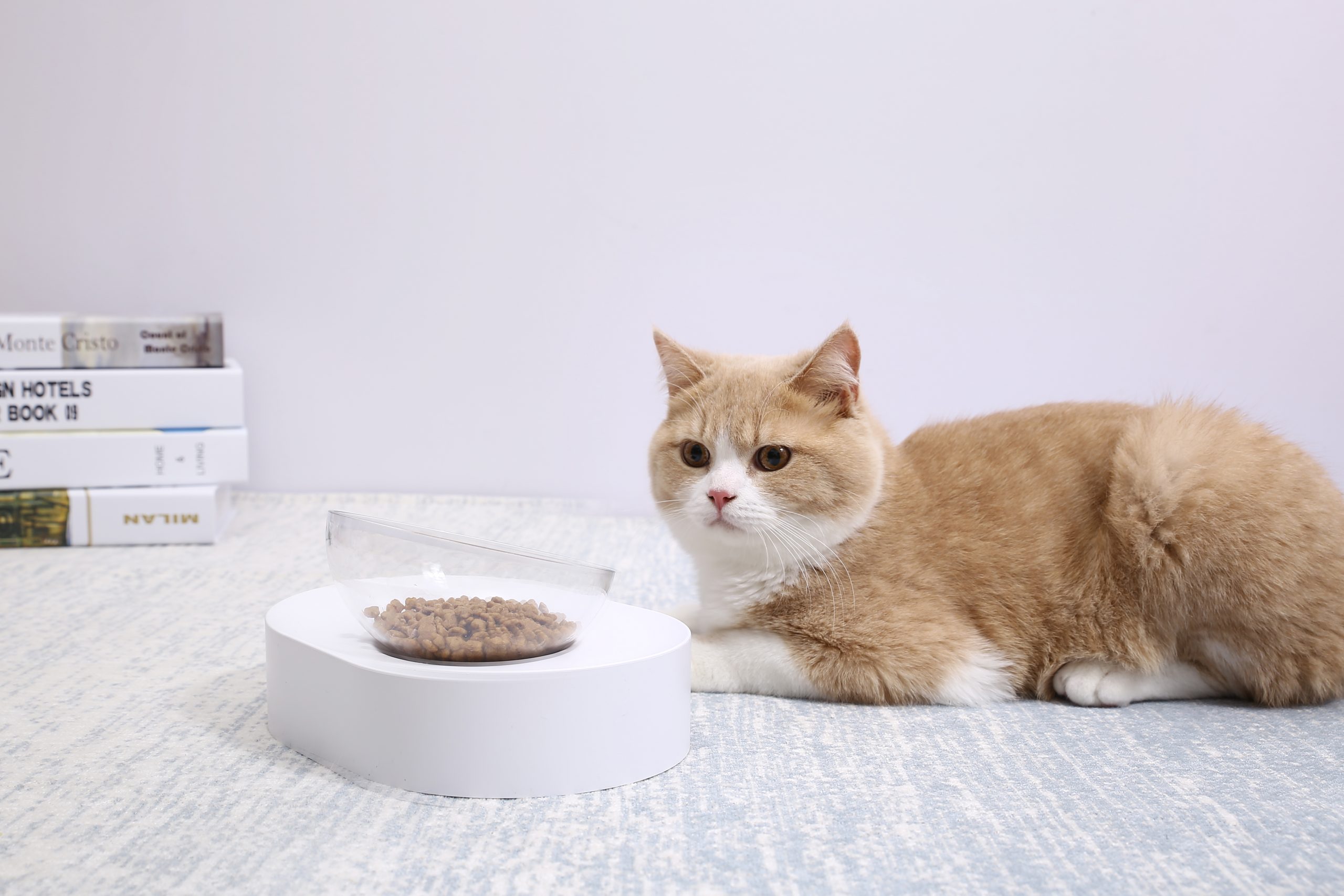 PETKIT Fresh Nano-15 Adjustable Cat Feeding Bowl -Single โ image 3