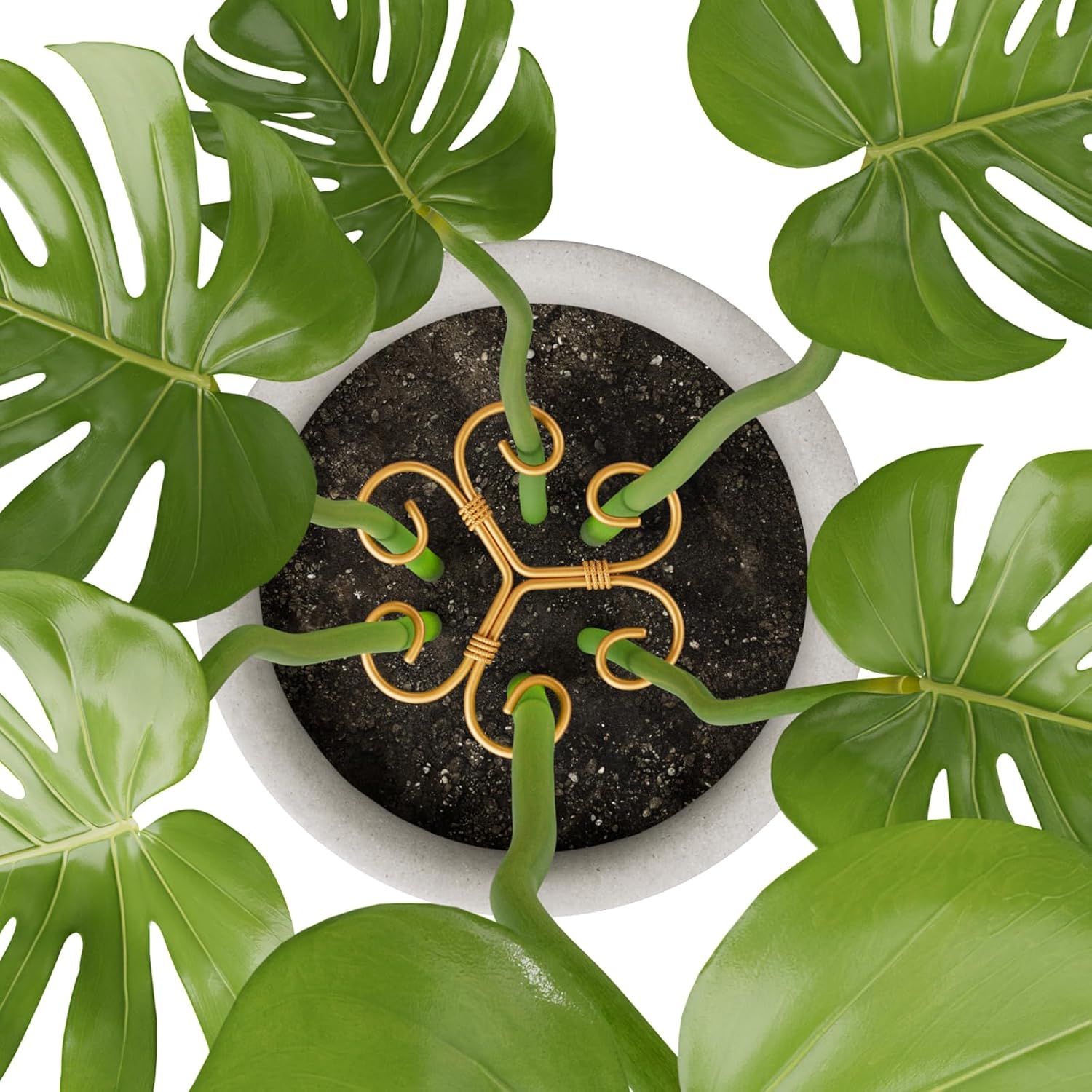 10.5cm x 10.5cm Gold Plant Stem Supports 4 Pack - Indoor Plant Stakes for Tall Plants, Monstera - Plant Anchoring Hooks for Indoor Gardens — image 6