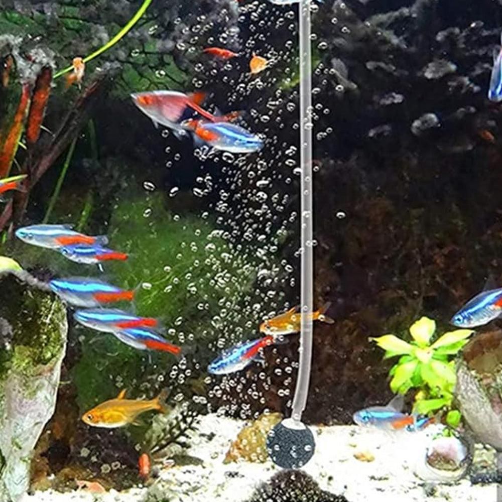 Solar Oxygenator Aquarium Oxygen Aerator Air Pump Fishing Aerator with Pipe for Garden Fish Tank Outdoor Pool Pond โ image 3