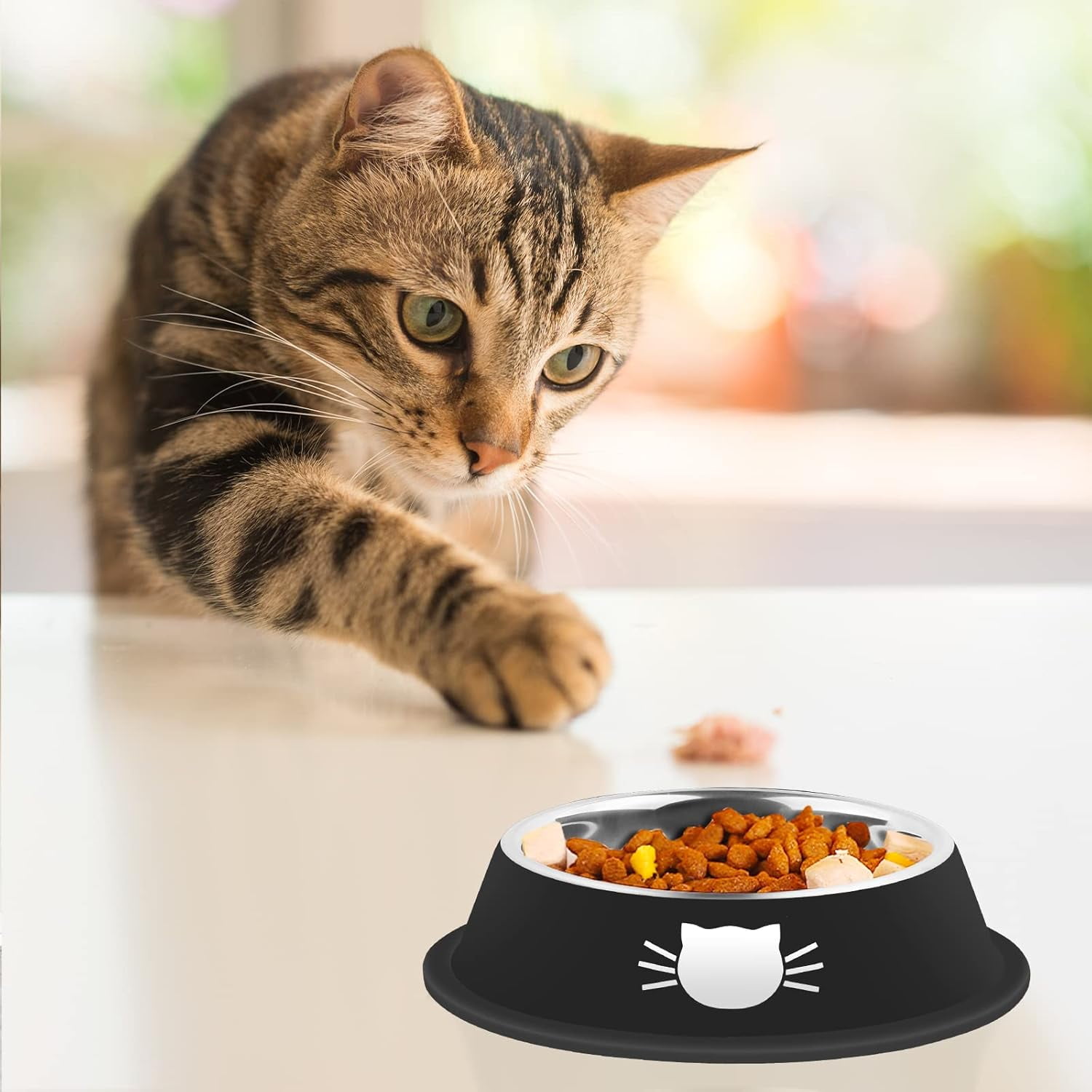 Cat Bowls Non-Slip Stainless Steel Small Cat Food Bowls Unbreakable Thicken Cat Feeder 7 Oz Cat Dishes Suitable for Indoor Small Pets Removable Rubber Base โ image 6