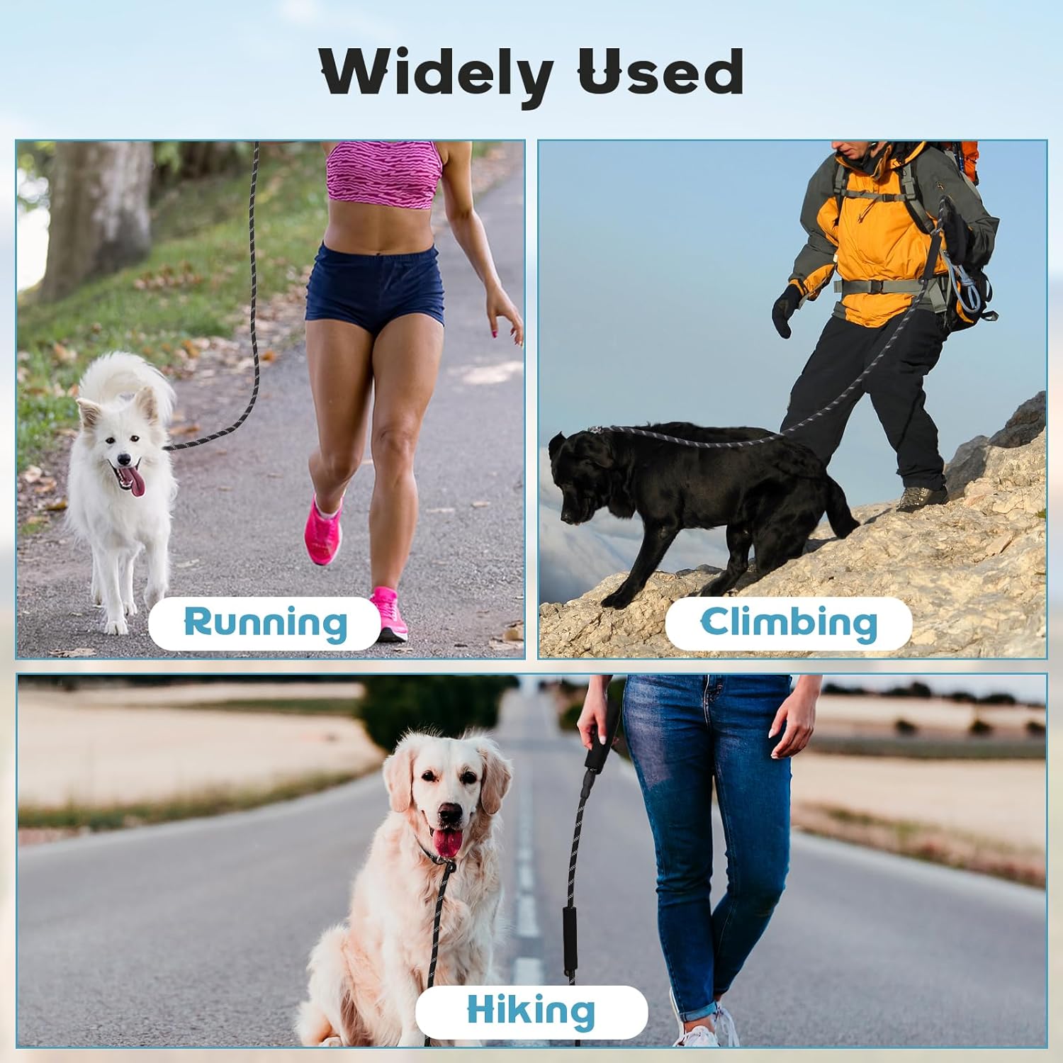 Dog Leash 6 FT with Comfortable Padded Handle, Training Loop Leash with Highly Reflective Threading for Medium Dogs, Black โ image 6