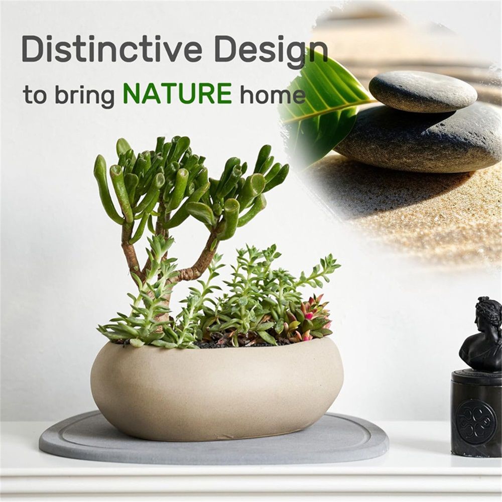 Diatomaceous Earth Plant Saucer for Indoor, 2 Pack Irregular 6.7 Inch 12 Inch, Instant Dry Pot Saucer, Plant Drip & Drainage Tray for Indoor, Stone Gray โ image 5