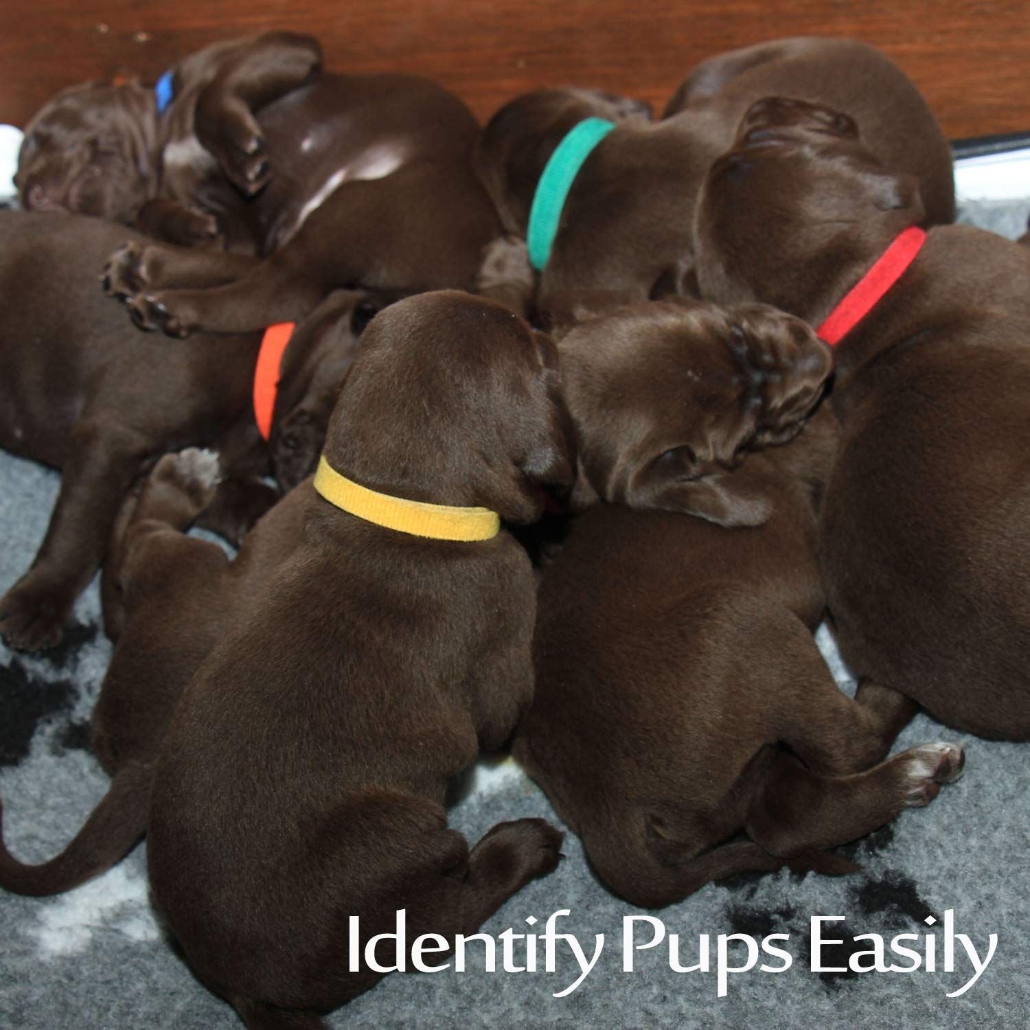 15 Colors Puppy ID Collars Whelping Dog Band Newborn Soft Fabric Adjustable Identification Collar for Pet Dog Cat — image 5