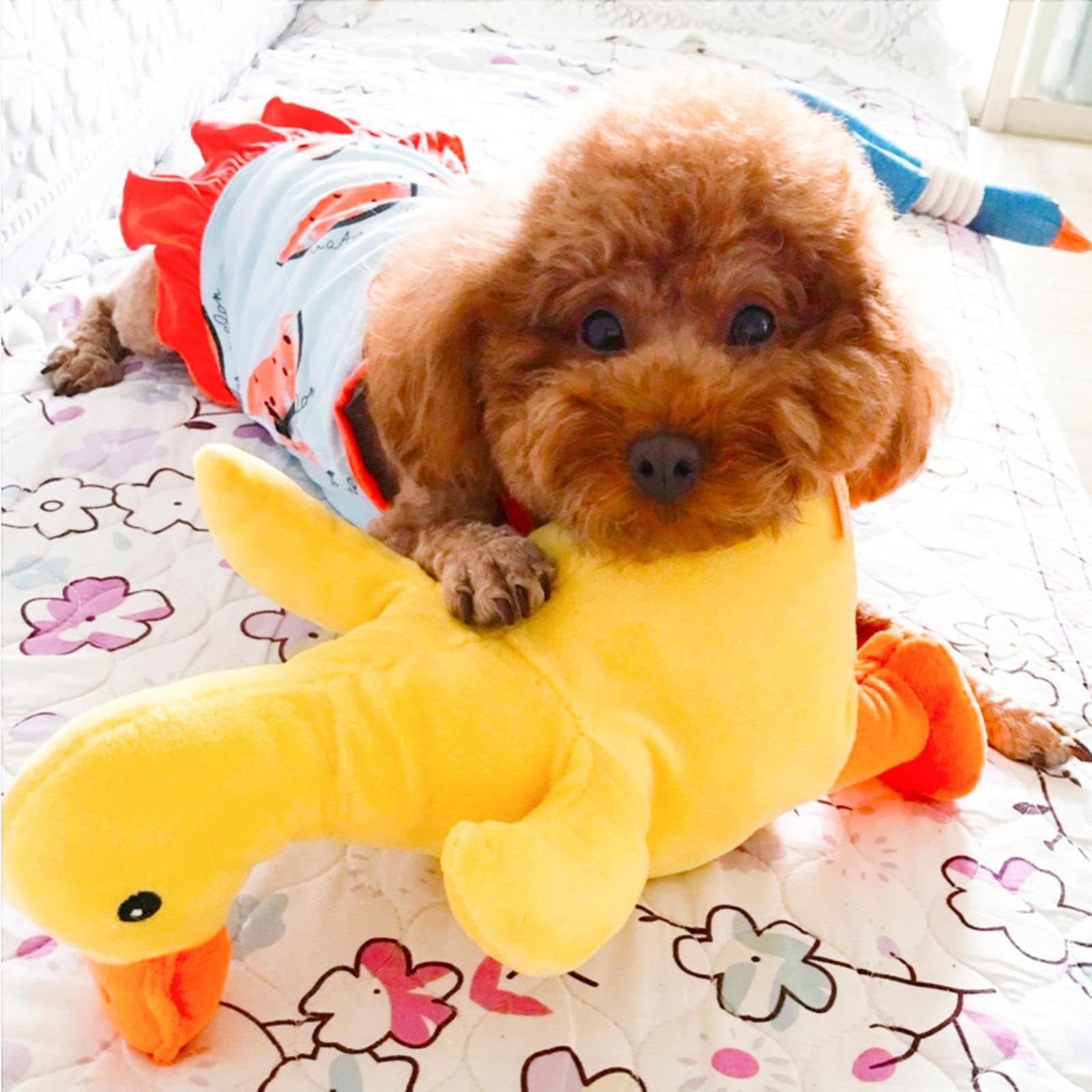 Plush Squeaky Dog Toy, Cute Yellow Duck Stuffing Durable Interactive Toy, Dog Chew Toys for Aggressive Chewers Sound Chew — image 5