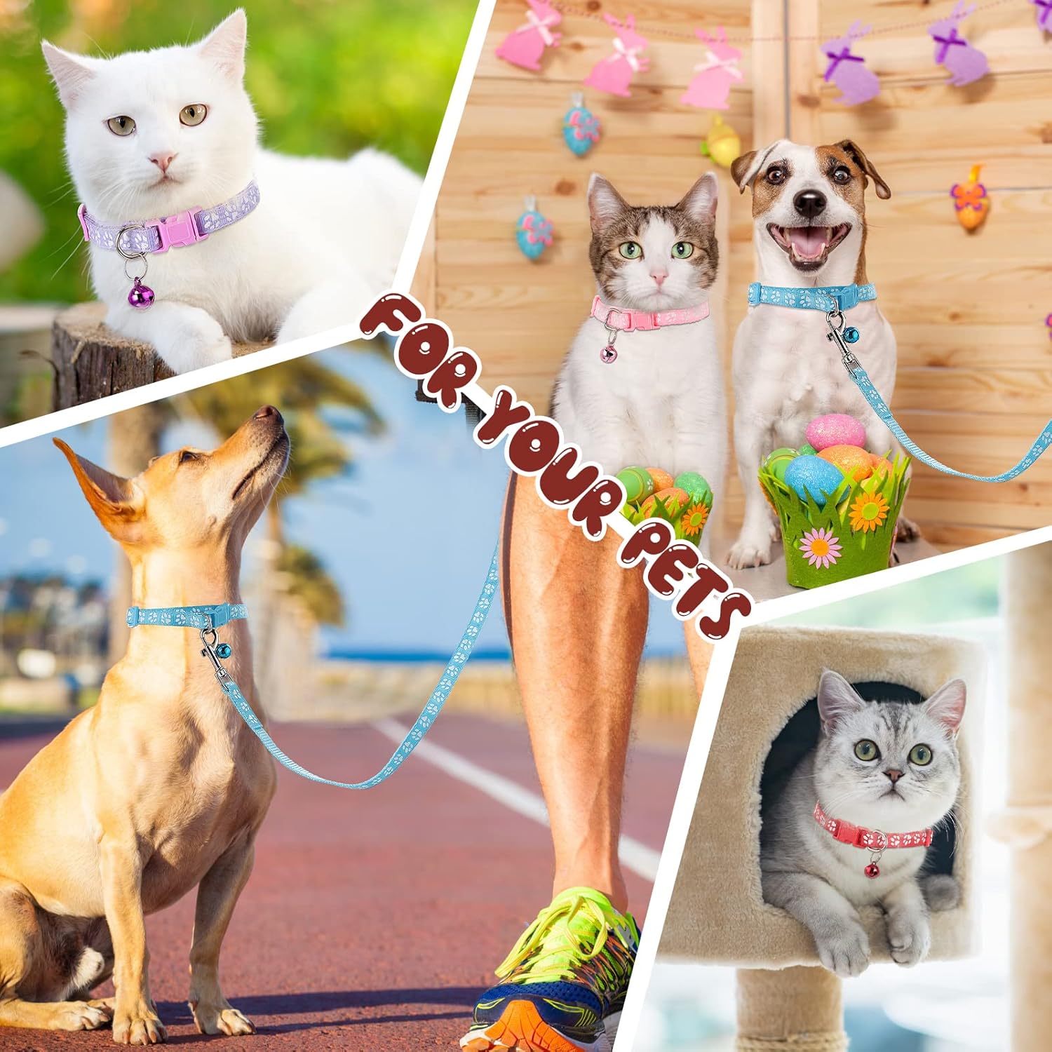 Amylove 48 Pcs Dog Collar and Leash Set, Polypropylene Adjustable Puppy Collars for Medium Dogs Small Pet Puppy Walking Training with Hook and โ image 6