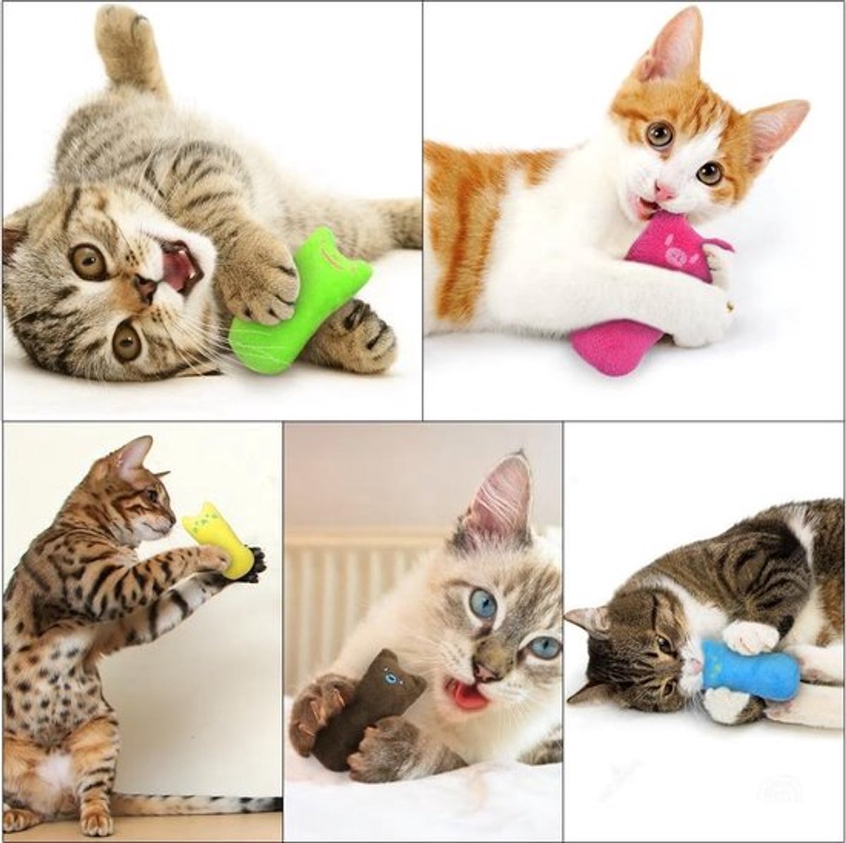 Catnip Plush Toy | Cat Toys | Catnip | Cat Toys | BLUE โ image 6