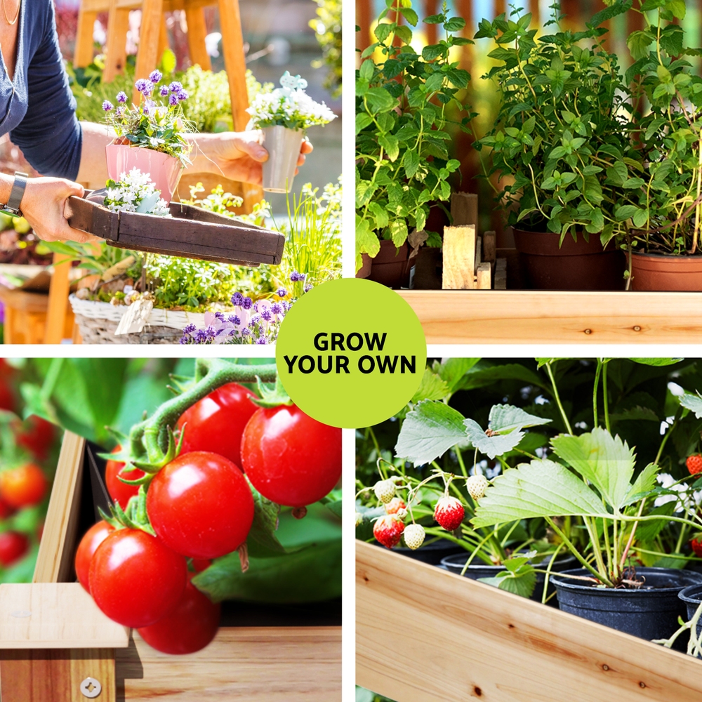 Green Fingers Garden Bed Elevated 120x60x80cm Wooden Planter Box Raised Container — image 4