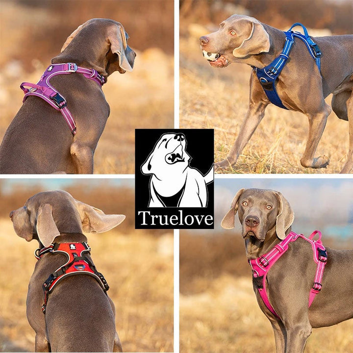 No Pull Harness Grey M โ image 3