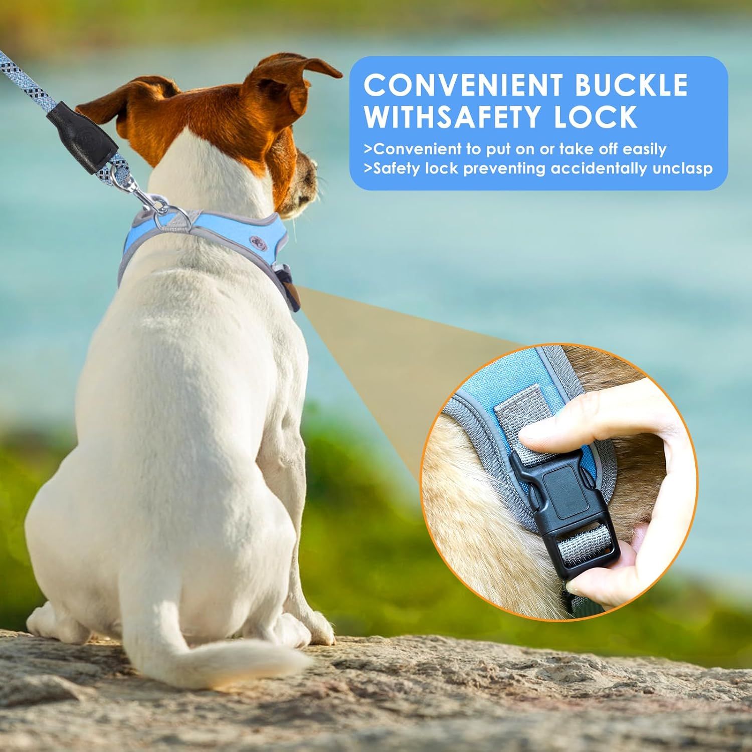 Dog Harness and Leash, No Pull Saddle Style Pet Harness, Breathable Mesh Adjustable Reflective Dog Vest, Dog Leash, for Dogs and Cat Medium Small Harness — image 5