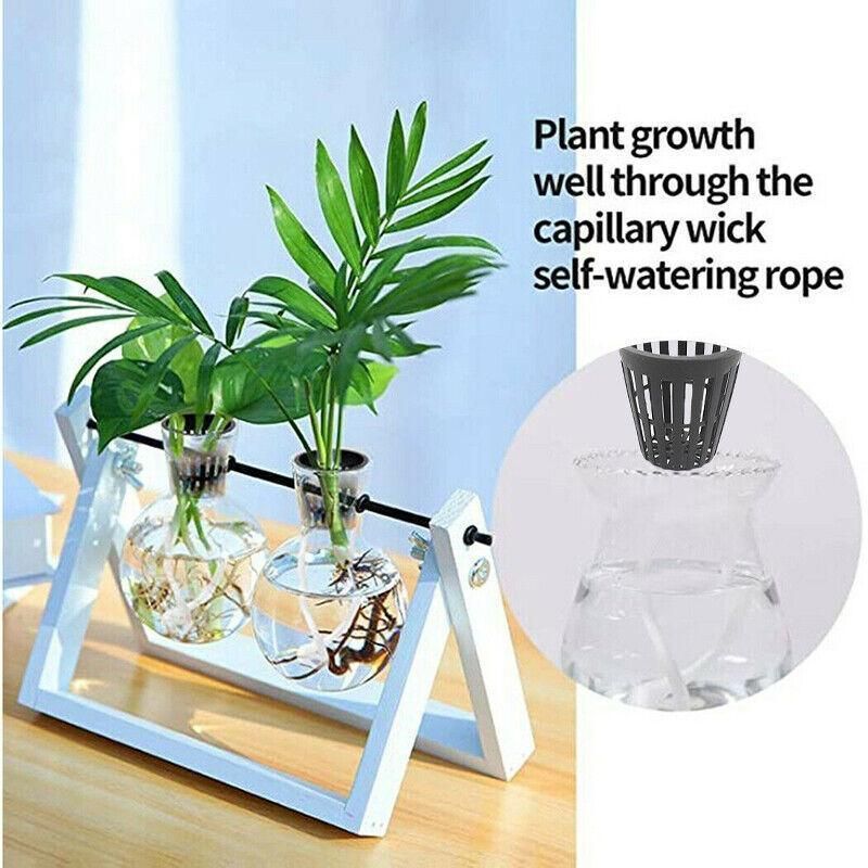 40pcs Hydroponics Plant Grow Net Cup Mesh Pot Basket Mesh Aeroponic Aquaponic AU โ image 6