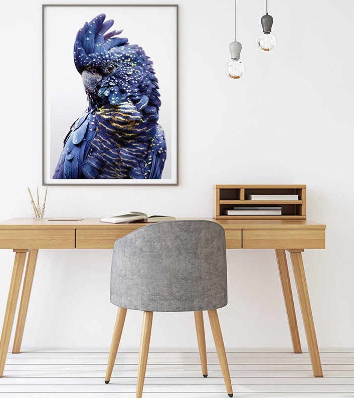 Wall Art 70cmx100cm Black Cockatoo A Black Frame Canvas โ image 2