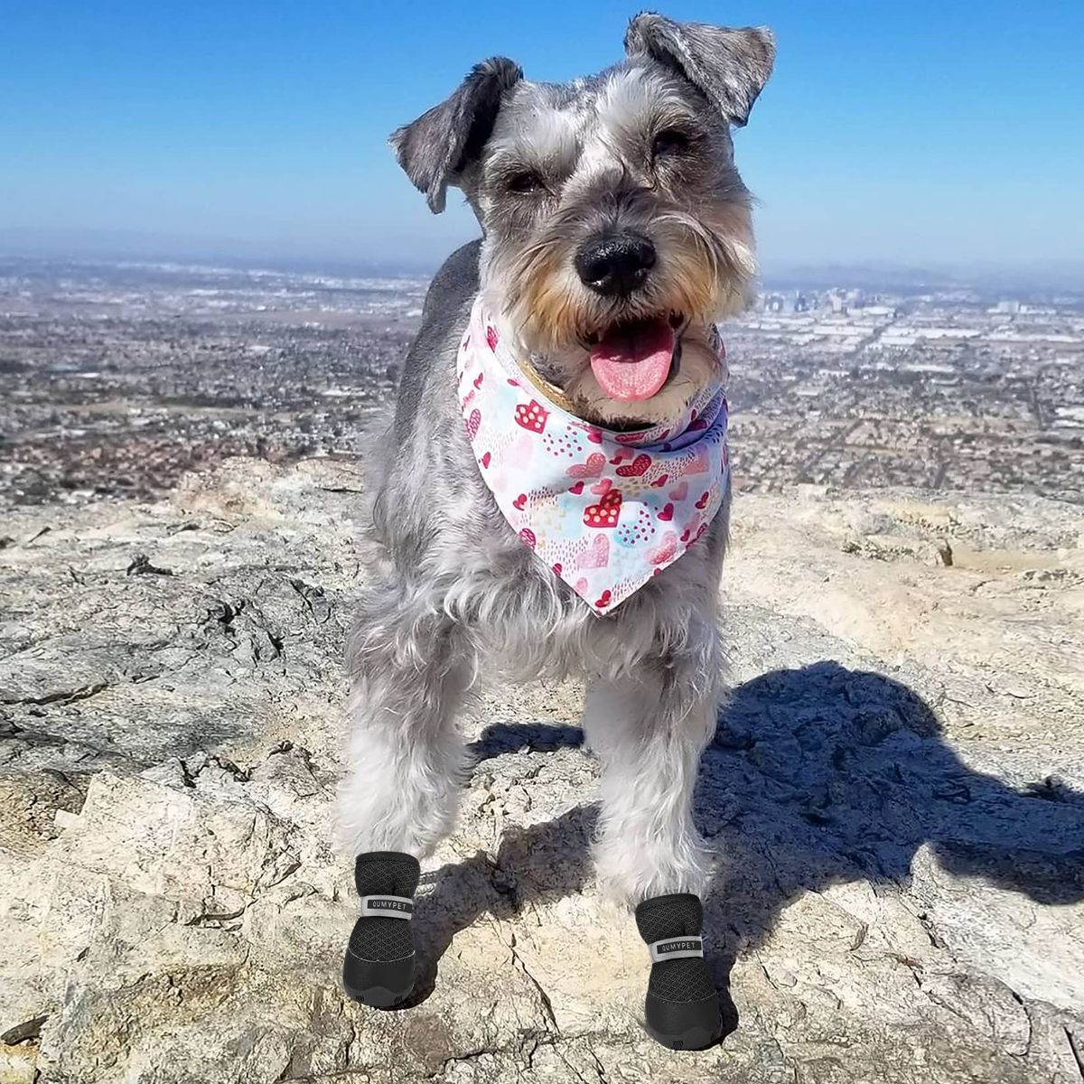 Dog Shoes for Small Dogs Hot Pavement Puppy Dog Boots & Paw Protectors | Small Medium Dog Summer Shoes, Soft Anti-Slip Rubber Sole, Mesh Breathable Dog Booties — image 6