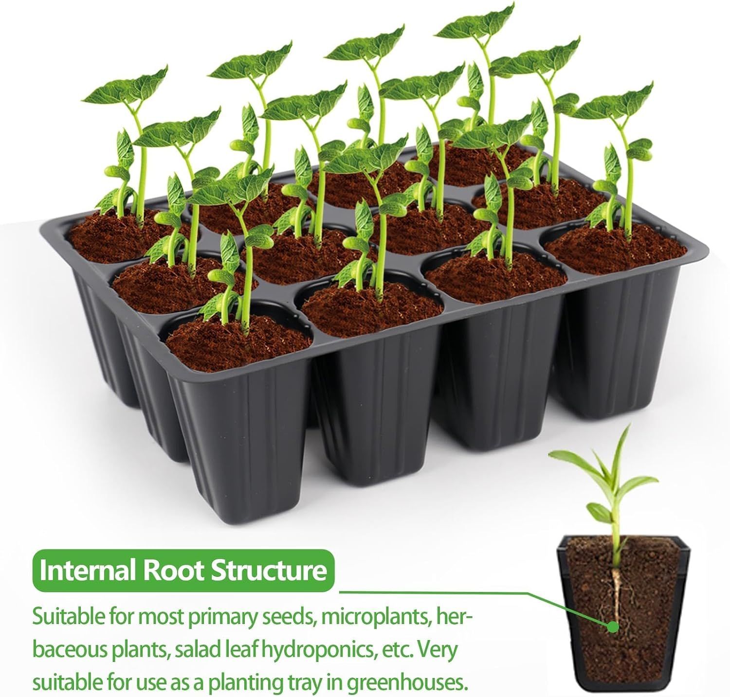 10 Piece Grow Tray Set 12 Holes 120 Cells Total โ image 4