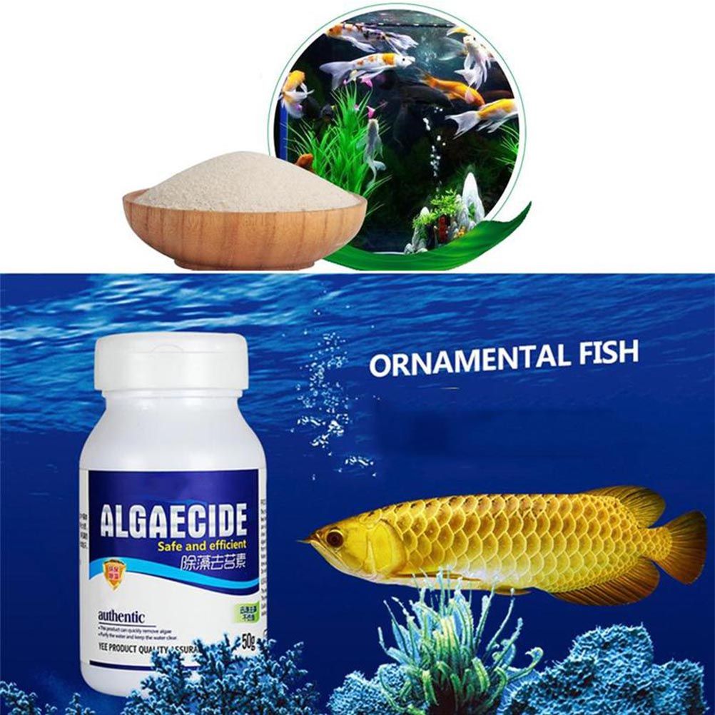50g Aquarium Algaecide Fish Tank Algae Remover Aquarium Water Cleaner โ image 2