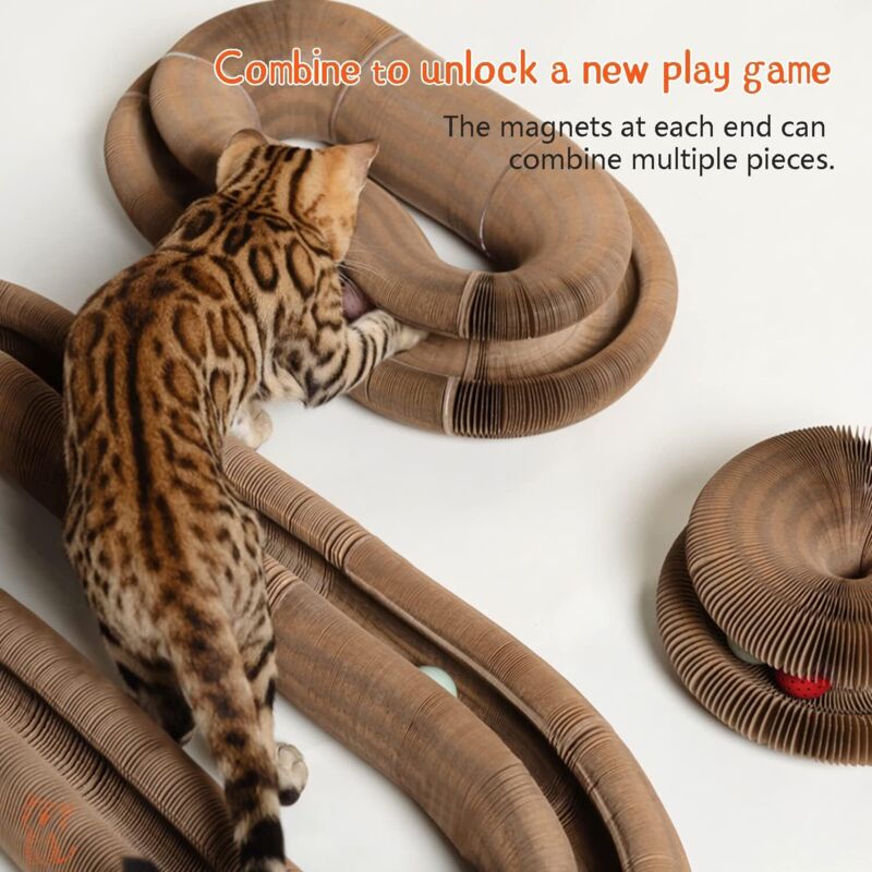 Magic Organ Interactive Scratching Toy - The Ultimate Interactive Mental And Physical Exercise For Indoor Cats โ image 2
