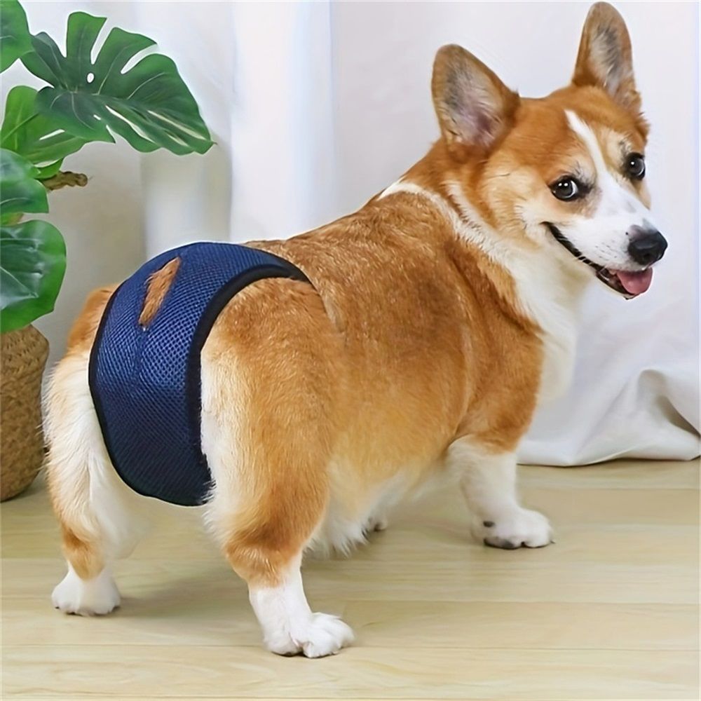 3Pcs Dog Pants, Reusable Breathable Mesh Female Dog Diapers, Sanitary Pads, Adjustable Sanitary Briefs, Protective Trousers, Underwear for Female Dog in Heat(S — image 3