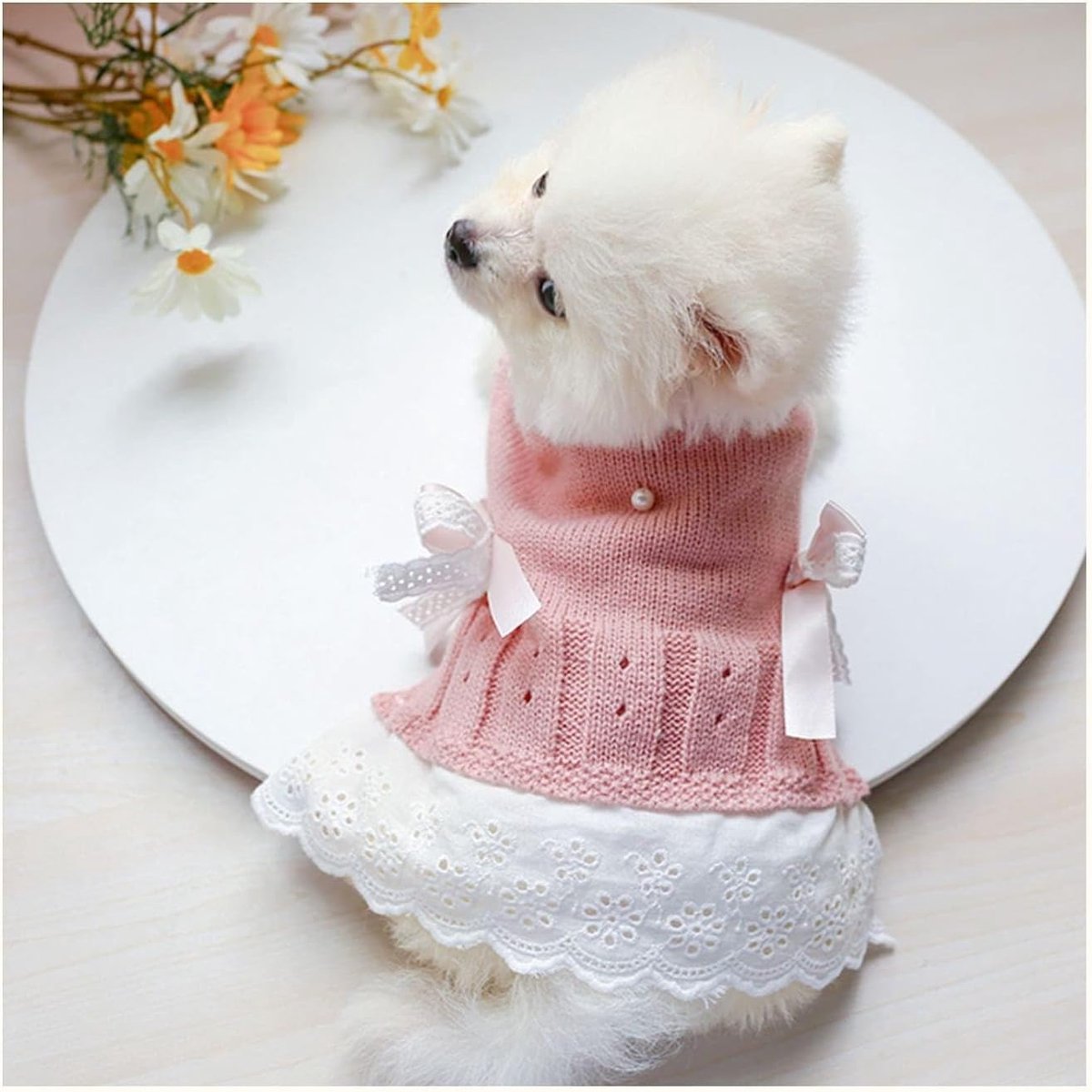 Dog Coat - Dog Sweater - Sweater Dress for Small Dogs - Female Dress with Bow - Pink and Blue Warm for Winter - Princess Lace - Birthdays โ image 2