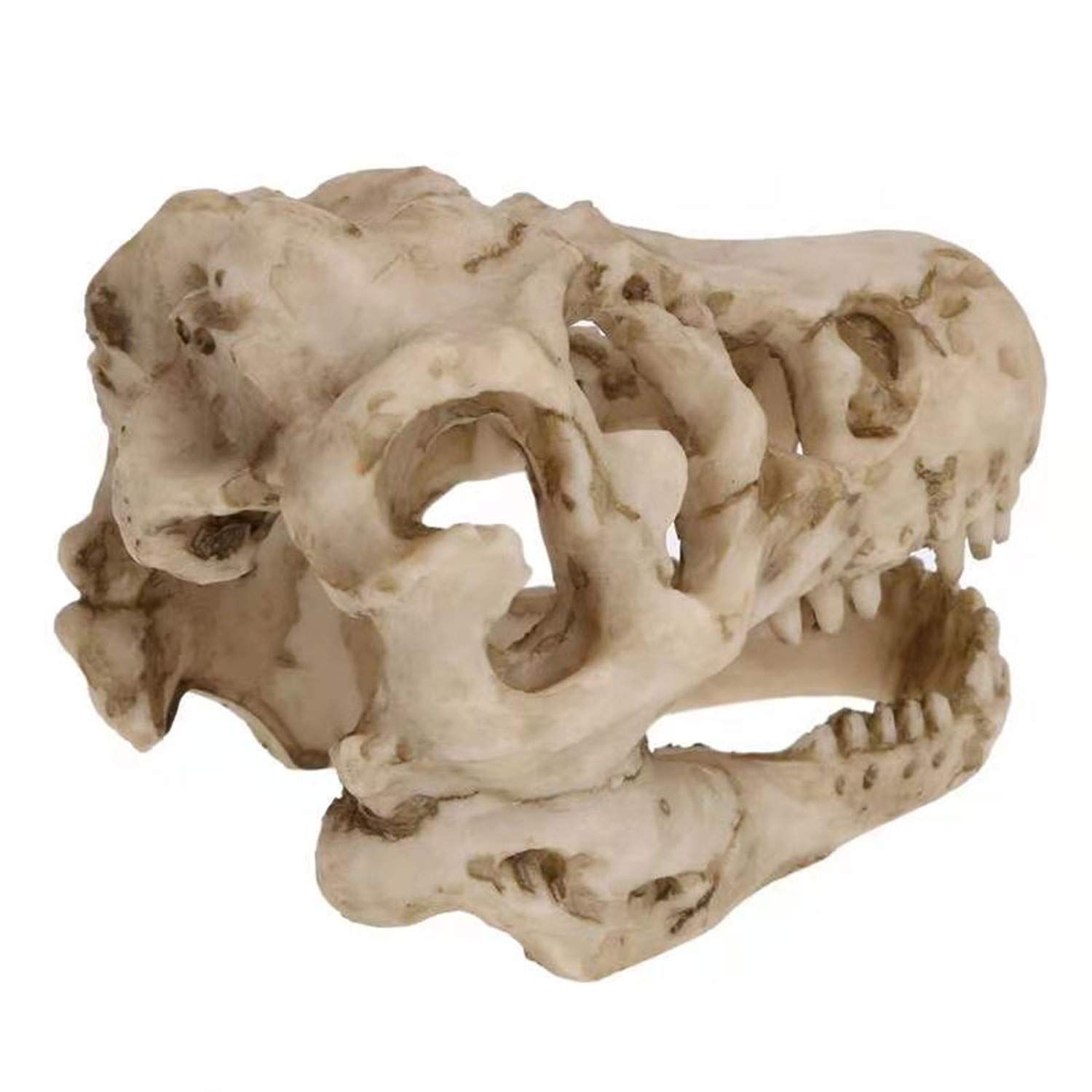 Aquarium Decoration Small Resin Dinosaur Skull Skeleton Fish Tank Aquarium Cave Pet Reptile House Decoration — image 2