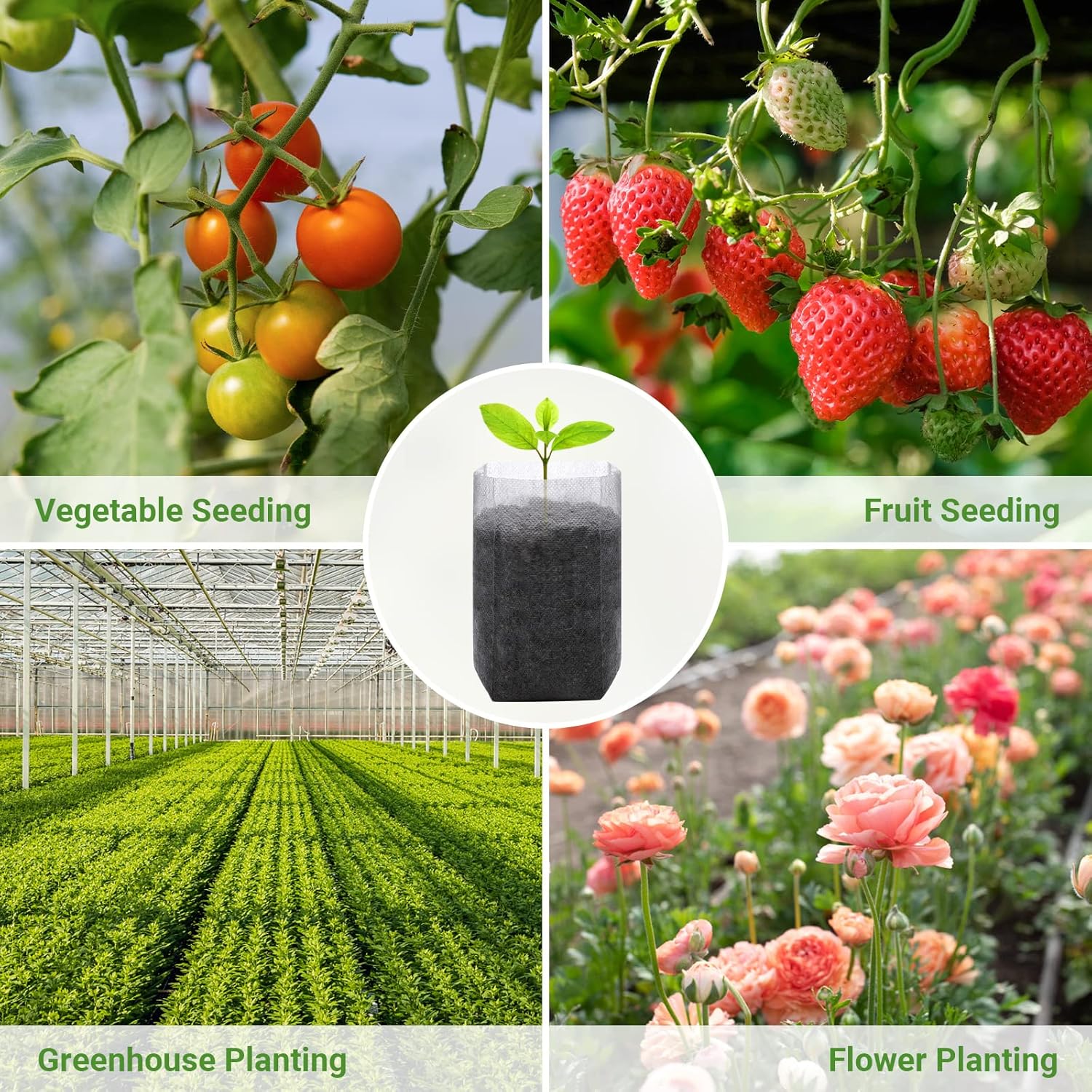 Non-Woven Seedling Grow Bags, Breathable Plant Nursery Pots for Vegetables, Flowers and Cuttings, White, 14 x 16 cm โ image 2