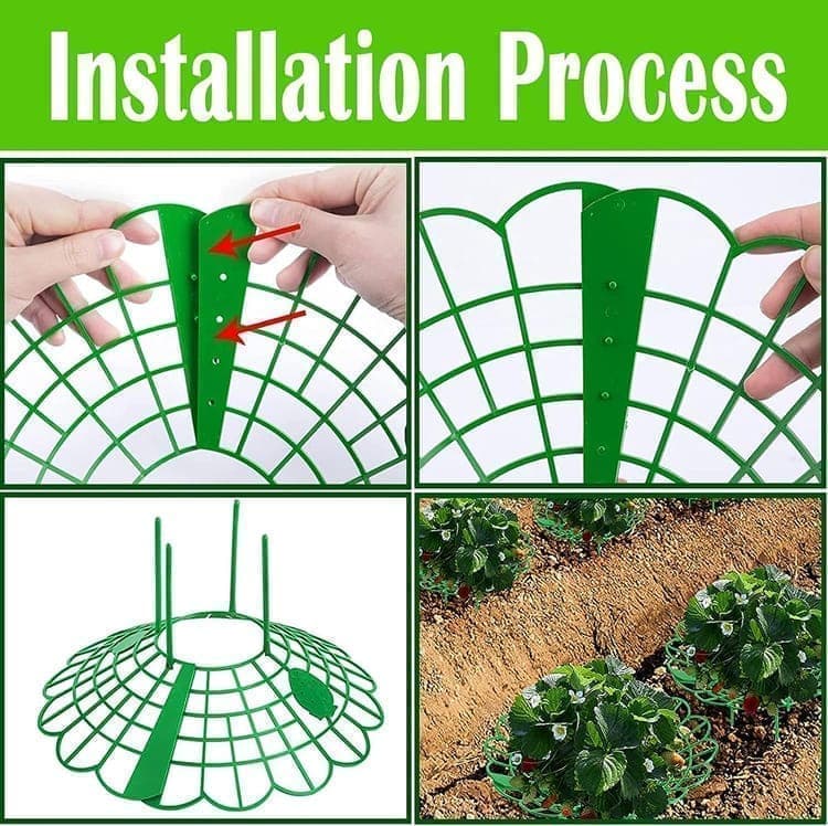 10-Pack Strawberry Holder Plant Support for Strawberries and Vegetables, 10.2 Inches — image 5