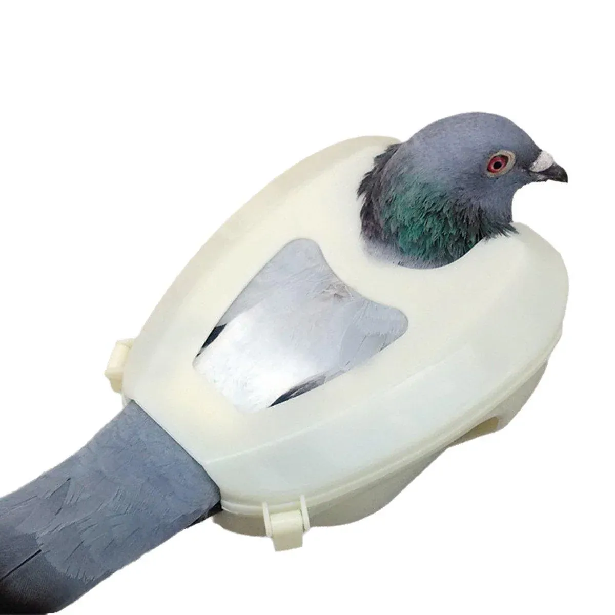 2X Practical Plastic Racing Pigeon Holder Fixed Frame Rack Bird Medicine Feeder — image 5
