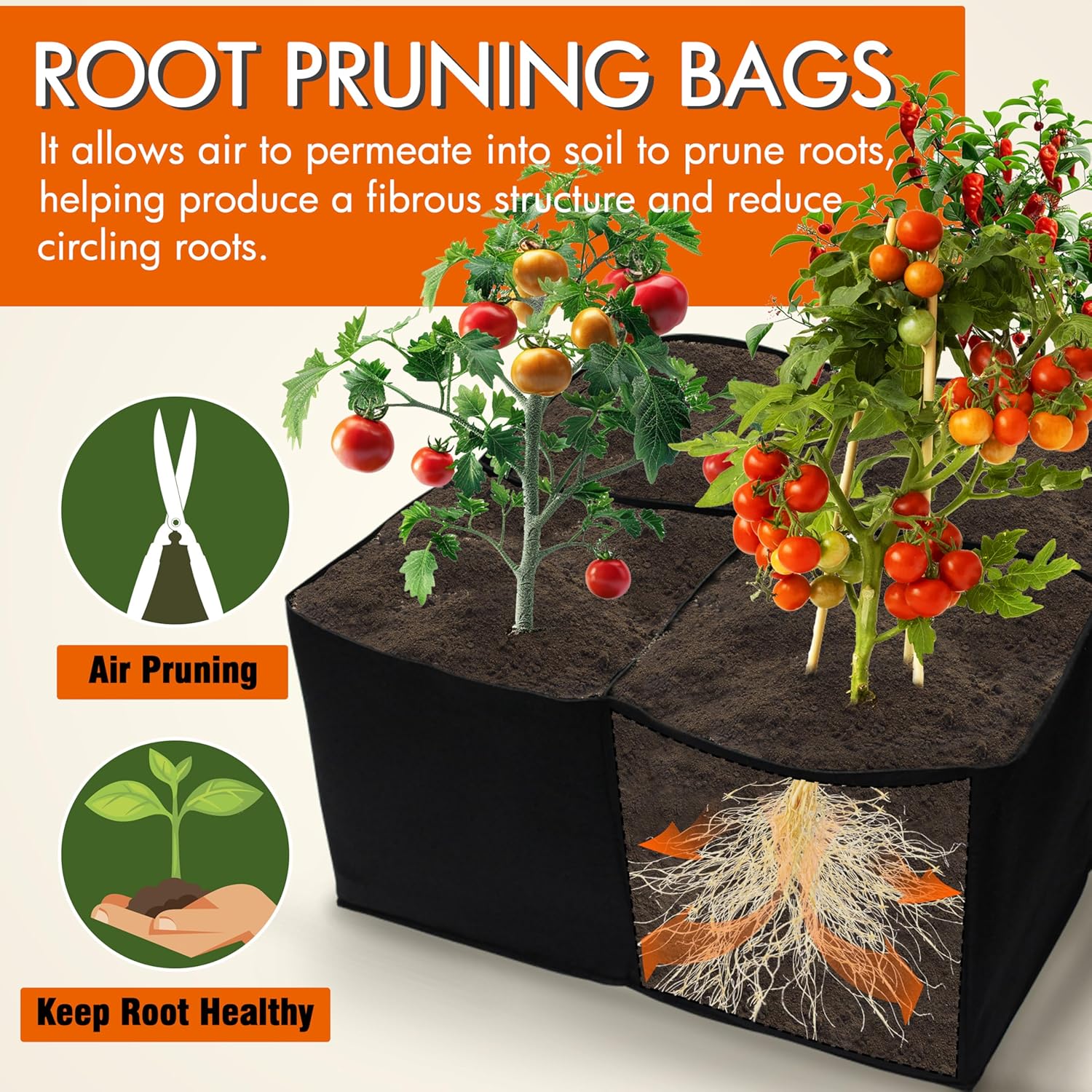 2 Pack Fabric Raised Garden Beds, 2x2x1 FT – 4 Grids Grow Bed for Square Foot Gardening, Planting Box for Vegetables, Herbs, Flowers — image 4