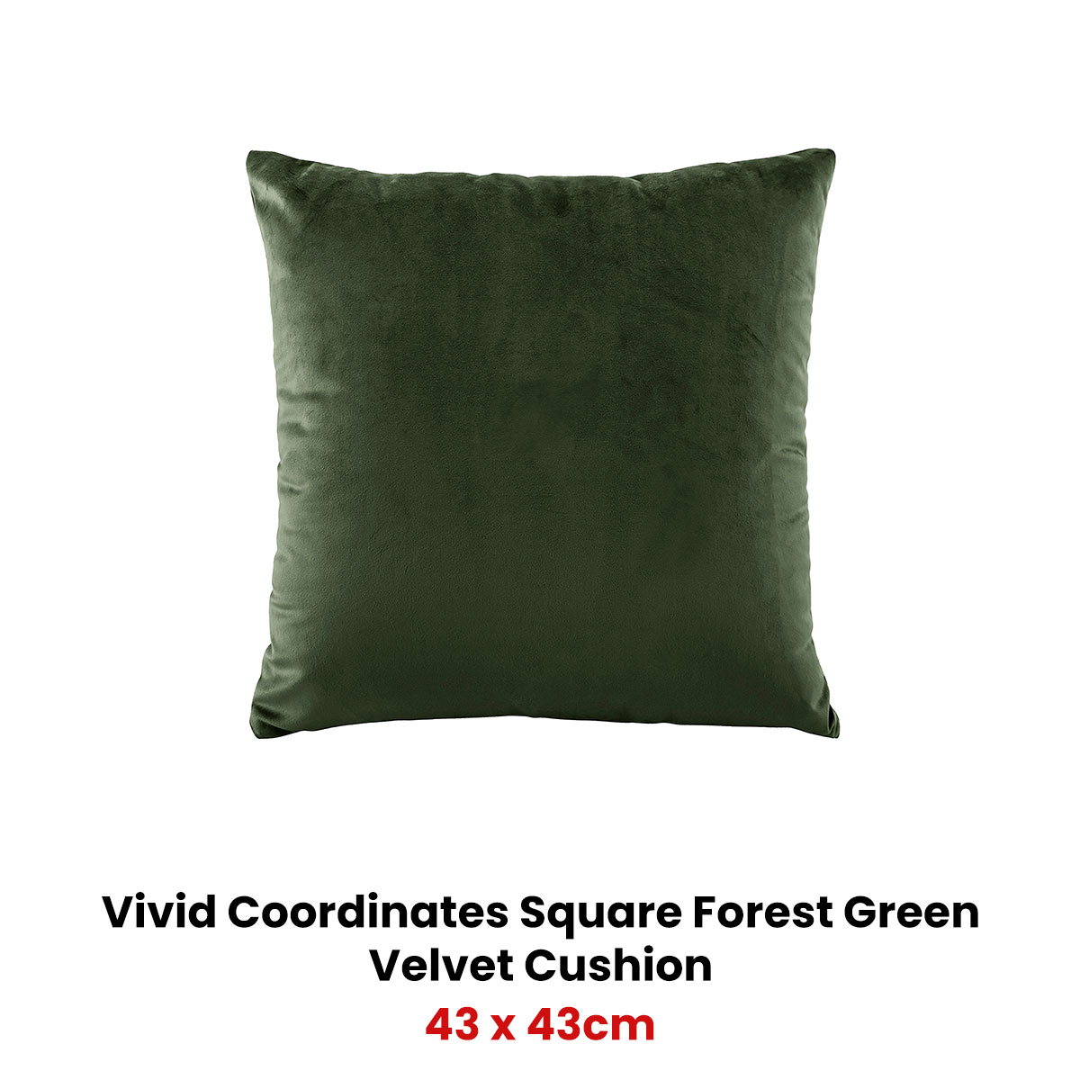 Bianca Vivid Coordinates Square Forest Green Velvet Cushion — image 2