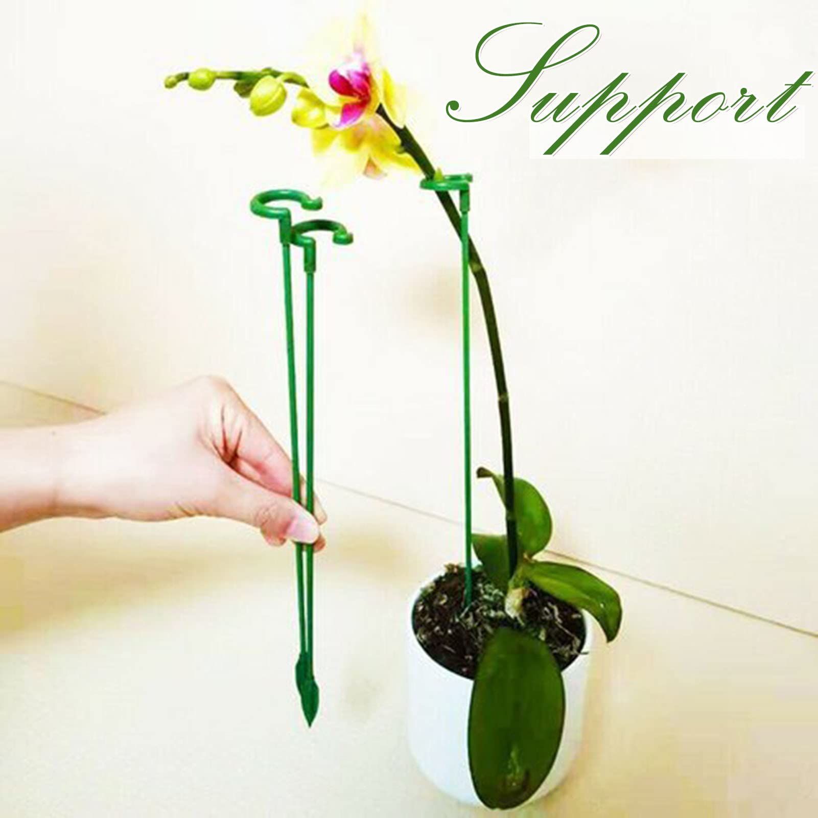 10 pcs Plant Support Stakes, Single Stem Plant Support Stakes Steel Garden Stakes for Plant Flower Orchid, Lily, Peony, Rose — image 3