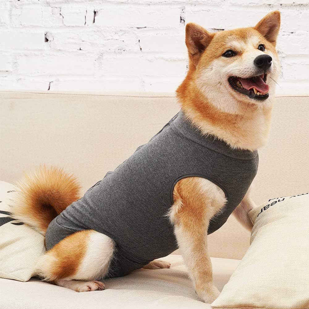 Dog Recovery Suit Abdominal Wound Puppy Surgical Clothes Post-Operative Vest Pet After Surgery Wear Substitute E-Collar & Cone (L, Grey) — image 3