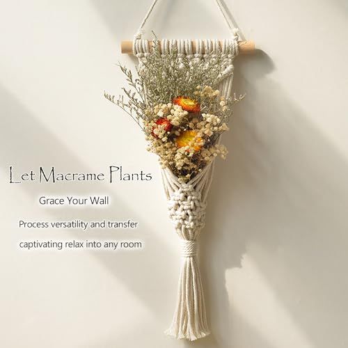 4 Pack Air Plants Holders Air Fern Macrame Plant Hanger Indoor Hanging Planter Basket for Tillandsias Display Air Plant Stand โ image 5