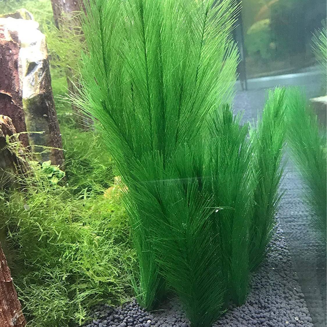 3pcs Fish tank decorations β image 3