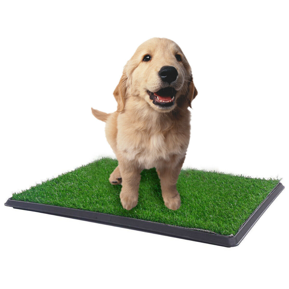 YES4PETS XL Indoor Dog Puppy Toilet Grass Training Mat Loo Pad Potty W 3 Grass โ image 3