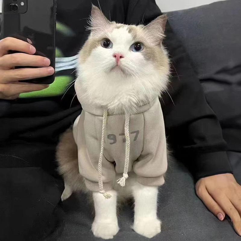 2-Pack S sizeTrendy Pet Hoodie with "1977" Print - Warm Winter Wear for Cats and Small Dogs - with Plush Lining - Beige and Dark Grey — image 3
