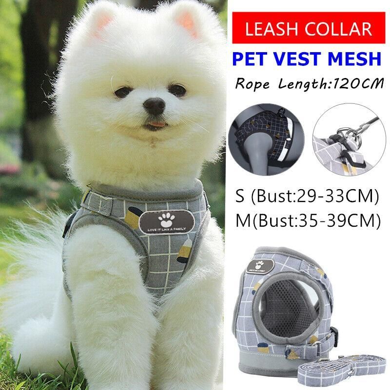 Grey Kitten Dog Cat Walking Harness Lead Leash Collar Pet Vest Mesh Adjustable - M — image 2
